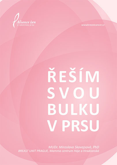 brožurka v PDF formátu v tiskové kvalitě (35 MB)