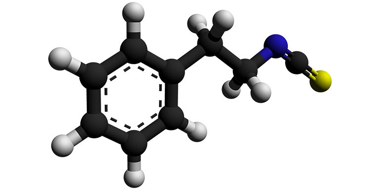 Fenethyl-isothiokyanát má u myší chemopreventivní účinky, tvrdí Američané